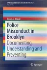 Police Misconduct in Brooklyn: Documenting, Understanding and Preventing (2017)