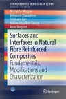 Surfaces and Interfaces in Natural Fibre Reinforced Composites: Fundamentals, Modifications and Characterization (2018)