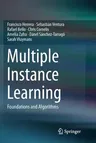 Multiple Instance Learning: Foundations and Algorithms (Softcover Reprint of the Original 1st 2016)