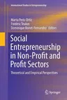 Social Entrepreneurship in Non-Profit and Profit Sectors: Theoretical and Empirical Perspectives (Softcover Reprint of the Original 1st 2017)