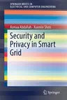 Security and Privacy in Smart Grid (2018)