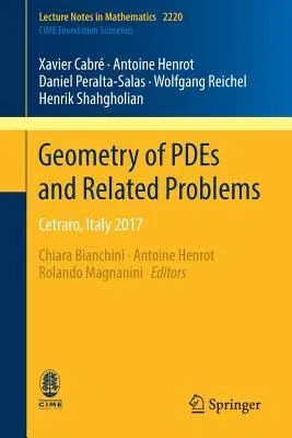 Geometry of Pdes and Related Problems: Cetraro, Italy 2017 (2018)