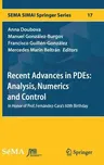 Recent Advances in Pdes: Analysis, Numerics and Control: In Honor of Prof. Fernández-Cara's 60th Birthday (2018)