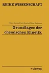 Grundlagen Der Chemischen Kinetik (Softcover Reprint of the Original 1st 1974)