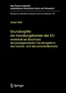 Grundbegriffe Der Handlungsformen Der Eu: Entwickelt Am Beschluss ALS Praxisgenerierter Handlungsform Des Unions- Und Gemeinschaftsrechts (2006)