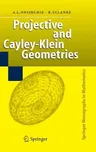 Projective and Cayley-Klein Geometries (2006)