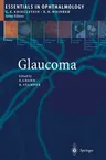 Glaucoma (2004)