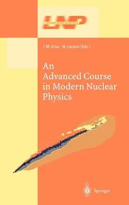 An Advanced Course in Modern Nuclear Physics (2001)