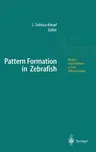 Pattern Formation in Zebrafish (2002)