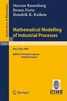 Mathematical Modelling of Industrial Processes (1992)