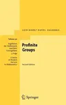 Profinite Groups (2010)