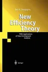 New Efficiency Theory: With Applications of Data Envelopment Analysis