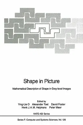 Shape in Picture: Mathematical Description of Shape in Grey-Level Images (Softcover Reprint of the Original 1st 1994)