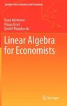 Linear Algebra for Economists (2011)