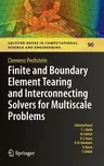 Finite and Boundary Element Tearing and Interconnecting Solvers for Multiscale Problems (2013)