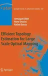 Efficient Topology Estimation for Large Scale Optical Mapping (2013)