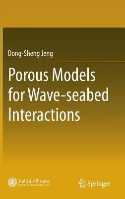 Porous Models for Wave-Seabed Interactions (2013)