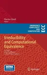 Irreducibility and Computational Equivalence: 10 Years After Wolfram's a New Kind of Science (2013)