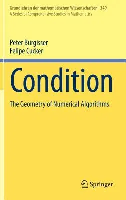 Condition: The Geometry of Numerical Algorithms (2013)