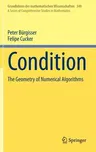 Condition: The Geometry of Numerical Algorithms (2013)