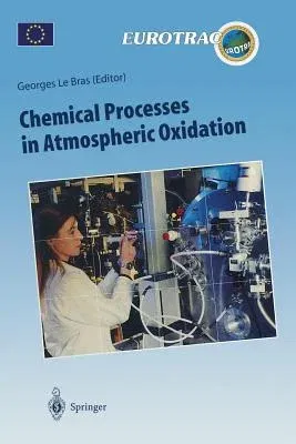 Chemical Processes in Atmospheric Oxidation: Laboratory Studies of Chemistry Related to Tropospheric Ozone (Softcover Reprint of the Original 1st 1997