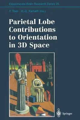 Parietal Lobe Contributions to Orientation in 3D Space (Softcover Reprint of the Original 1st 1997)