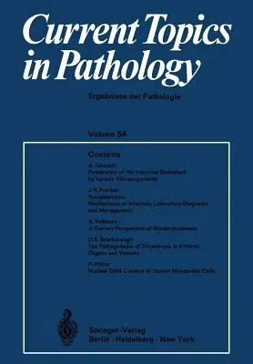 Current Topics in Pathology / Ergebnisse Der Pathologie (Softcover Reprint of the Original 1st 1971)