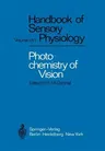 Photochemistry of Vision (Softcover Reprint of the Original 1st 1972)