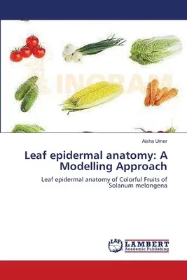 Leaf epidermal anatomy: A Modelling Approach