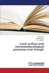 Land surface and micrometeorological processes over trough