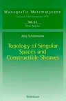 Topology of Singular Spaces and Constructible Sheaves (2003)