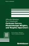 Carleson Curves, Muckenhoupt Weights, and Toeplitz Operators (1997)