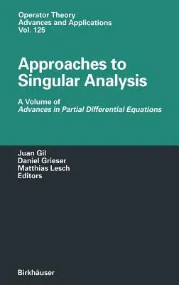 Approaches to Singular Analysis: A Volume of Advances in Partial Differential Equations (2001)