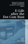 E-Life After the Dot Com Bust (2004)