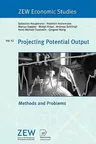 Projecting Potential Output: Methods and Problems (2009)