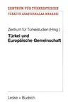 Türkei Und Europäische Gemeinschaft: Eine Untersuchung Zu Positiven Aspekten Eines Potentiellen Eg-Beitritts Der Türkei Für Die Europäische Gemeinscha