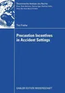 Precaution Incentives in Accident Settings (2008)