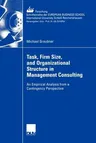 Task, Firm Size, and 0rganizational Structure in Management Consulting: An Empirical Analysis from a Contingengy Perspective (2007)