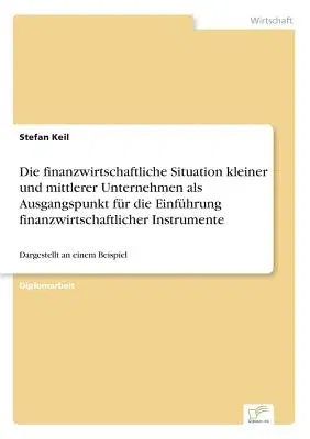 Die finanzwirtschaftliche Situation kleiner und mittlerer Unternehmen als Ausgangspunkt für die Einführung finanzwirtschaftlicher Instrumente: Dargestellt