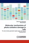 Molecular mechanisms of photo-oxidative damage in cells