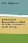 Bird Stories from Burroughs Sketches of Bird Life Taken from the Works of John Burroughs