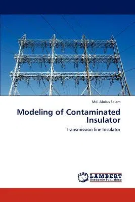 Modeling of Contaminated Insulator