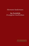 Im Zwielicht: Zwanglose Geschichten