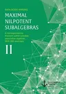 Maximal Nilpotent Subalgebras II: A correspondence theorem within solvable associative algebras. With 242 exercises