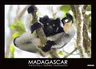 Madagascar