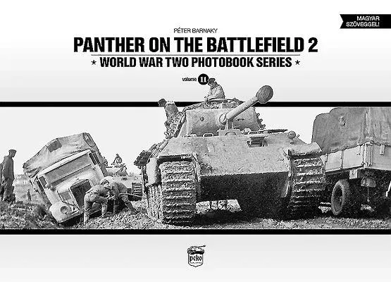 Panther on the Battlefield: Volume 2