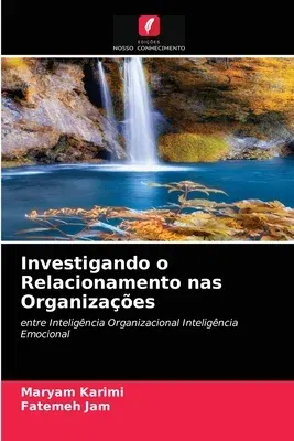 Investigando o Relacionamento nas Organizações