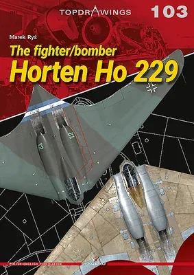 The Fighter/Bomber Horten Ho 229