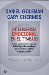 Inteligencia Emocional En El Trabajo: Como Seleccionar y Mejorar La Inteligencia Emocional En Individuos, Grupos y Organizaciones