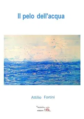 Il pelo dell'acqua